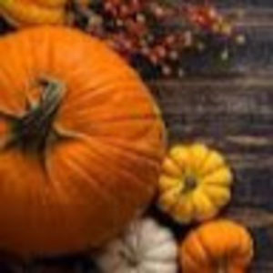 Meet your Posher, Lara